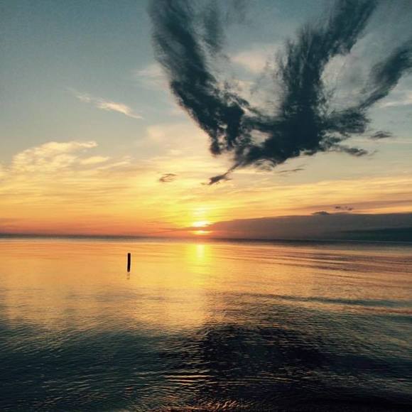 Meet your Posher, Theresa - Picture 1 of 1